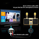 SDRD SD309 Wireless Microphone Bluetooth Audio All-In-One Machine(Black)