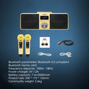 SDRD SD309 Wireless Microphone Bluetooth Audio All-In-One Machine(Black)