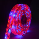 5m 300 LEDs SMD 5050 Full Spectrum LED Strip Light Fitolampy Grow Lights for Greenhouse Hydroponic Plant Non Waterproof(4 Red 1 Blue)