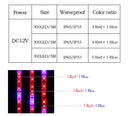 5m 300 LEDs SMD 5050 Full Spectrum LED Strip Light Fitolampy Grow Lights for Greenhouse Hydroponic Plant Non Waterproof(4 Red 1 Blue)