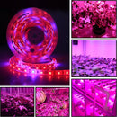 5m 300 LEDs SMD 5050 Full Spectrum LED Strip Light Fitolampy Grow Lights for Greenhouse Hydroponic Plant Non Waterproof(4 Red 1 Blue)
