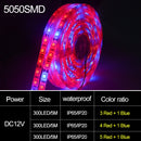5m 300 LEDs SMD 5050 Full Spectrum LED Strip Light Fitolampy Grow Lights for Greenhouse Hydroponic Plant Non Waterproof(4 Red 1 Blue)