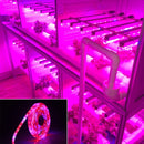 5m 300 LEDs SMD 5050 Full Spectrum LED Strip Light Fitolampy Grow Lights for Greenhouse Hydroponic Plant Non Waterproof(5 Red 1 Blue)