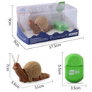7701 Children Electric Infrared Remote Control Snail Simulation Tricky Pet(Brown)