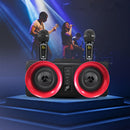 SDRD SD-307 2 in 1 Family KTV Portable Wireless Live Dual Microphone + Bluetooth Speaker(Black)