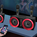 SDRD SD-307 2 in 1 Family KTV Portable Wireless Live Dual Microphone + Bluetooth Speaker(Black)