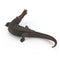 Children Science Education Cognition Simulation Ocean Wild Ancient Animal Model Black Emperor Crocodile