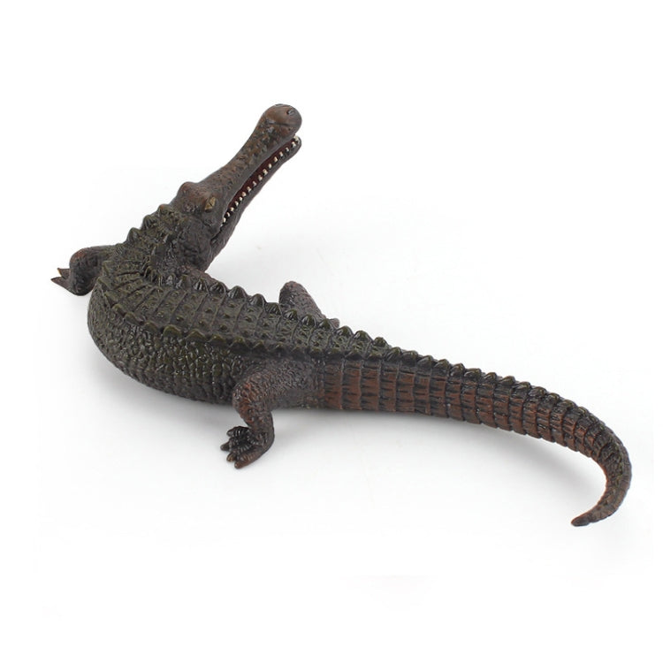 Children Science Education Cognition Simulation Ocean Wild Ancient Animal Model Black Emperor Crocodile