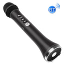 FM Radio Frequency Connection Car Home Entertainment Wireless Integrated Microphone Audio(Black)
