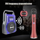FM Radio Frequency Connection Car Home Entertainment Wireless Integrated Microphone Audio(Black)