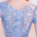Lace Prom Dress Simple Short Party Formal Gown, Size:S(Khaki)