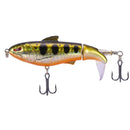 2 PCS Outdoor Fishing Bionic Bait Hard Bait For All Waters(4)