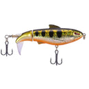 2 PCS Outdoor Fishing Bionic Bait Hard Bait For All Waters(4)