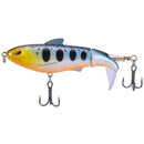 2 PCS Outdoor Fishing Bionic Bait Hard Bait For All Waters(9)