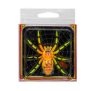 2 PCS Outdoor Fishing Bionic Bait For All-Water Web Spider Bait(1)
