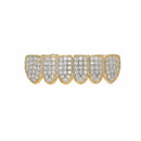 Halloween Accessories Micro-Inlaid Zircon Hip-Hop Braces, Colour: Gold Lower Teeth