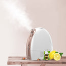 Hot and Cold Spray Fruit and Vegetable Steaming Face Device Nano Spray Water Replenishing Instrument Beauty Instrument, CN Plug(Rose Gold)