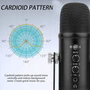 BM-86 USB Condenser Microphone Voice Recording Computer Microphone Live Broadcast Equipment Set, Specification: Standard