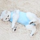 Pet Sterilization Post-Operative Nursing Gown Female Cat Anti-Licking Surgical Gown, Size: S(Blue)