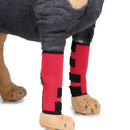 Pet Knee Pads Dog Leg Guards Pet Protective Gear Surgery Injury Sheath, Size: L(HJ02 Classic Red)