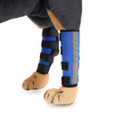Pet Knee Pads Dog Leg Guards Pet Protective Gear Surgery Injury Sheath, Size: L(HJ12 Reflective Blue)