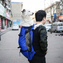 Ventilated And Breathable Washable Pet Portable Backpack, Size: XL(Taro Purple)
