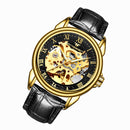 FNGEEN 8866 Men Waterproof Watch Fashion Double-Sided Hollow Automatic Mechanical Watch(Black Leather All Gold Black SurFace)