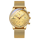 BINBONG B0158 Men Luminous Multifunctional Business Quartz Watch(Gold Mash Golden Shell Gold Surface)
