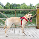 Large And Medium-Sized Dog Vest-Style Chest Harness S(Red)
