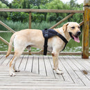 Large And Medium-Sized Dog Vest-Style Chest Harness L(Black)