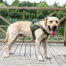 Large And Medium-Sized Dog Vest-Style Chest Harness L(Green)