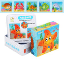 Iron Box 9 Cube Six-Sided Pattern Building Blocks Puzzle Children Early Education Wooden Toy(Marine Life)