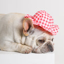 2 PCS Dog Hat Summer Cool Photo Decoration Pet Cat Sun Hat, Size: M(Yellow Grid)