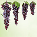 4 Bunches 36 Purple Grapes Simulation Fruit Simulation Grapes PVC with Cream Grape Shoot Props