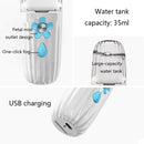 Hand-Held Nano Sprayer Facial Care And Moisturizer(Pink)