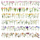 5 Sets Fresh Hand Account Diary DIY Sticker Color Random Delivery