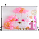 2.1m x 1.5m One Year Old Birthday Photography Background Cloth Birthday Party Decoration Photo Background(584)