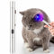 Woods Lamp Cat Moss Detection Lamp Cat Urine Blackhead 365UV Black Mirror Ultraviolet Fluorescent Agent Money Detector Lamp(Silver)