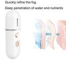 2 PCS Portable Rechargeable Water Replenishing Device Beauty Humidifying Sprayer, Colour: No. 4 White