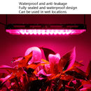 LED Plant Light Full Spectroscopy Waterproof Growth Lamp Seedlings Vegetable Filling Lamp, Power: Three-wire Access 96 Beads 100W(Pink Light)