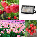 LED Plant Light Full Spectroscopy Waterproof Growth Lamp Seedlings Vegetable Filling Lamp, Power: Three-wire Access 96 Beads 100W(Pink Light)