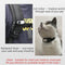 Sunnylife IST-Q9335 Camera Strap Silicone Protective Cover Wristband Palm Backpack Bicycle Strap Cat Collar For Insta360 GO2(Black)