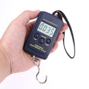 10g Mini Digital Fishing Scale Travel Weighting Steelyard Hanging Electronic Hook Scale Kitchen Weight Tool, Capacity:40kg with backlight