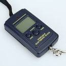 10g Mini Digital Fishing Scale Travel Weighting Steelyard Hanging Electronic Hook Scale Kitchen Weight Tool, Capacity:40kg with backlight
