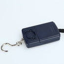 10g Mini Digital Fishing Scale Travel Weighting Steelyard Hanging Electronic Hook Scale Kitchen Weight Tool, Capacity:40kg with backlight