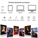 SDRD SD-305 2 in 1 Family KTV Portable Wireless Live Dual Microphone + Bluetooth Speaker(Black)