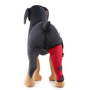 HJ19 Pet Surgery Rehabilitation Back Leg Protector Walking Aids, Size: M(Red Right Back Leg)