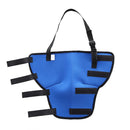 HJ19 Pet Surgery Rehabilitation Back Leg Protector Walking Aids, Size: L(Blue Right Back Leg)