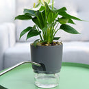5 PCS Transparent Plastic Double-Layer Water Storage Automatic Water-Absorbing Flowerpot, Size: A705 Caliber 10.5cm(Gray Transparent Basin)