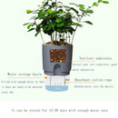 5 PCS Transparent Plastic Double-Layer Water Storage Automatic Water-Absorbing Flowerpot, Size: A705 Caliber 10.5cm(Gray Transparent Basin)